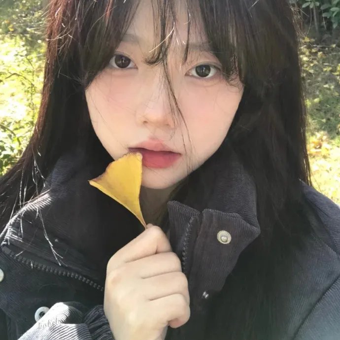 独家头条:初露锋芒